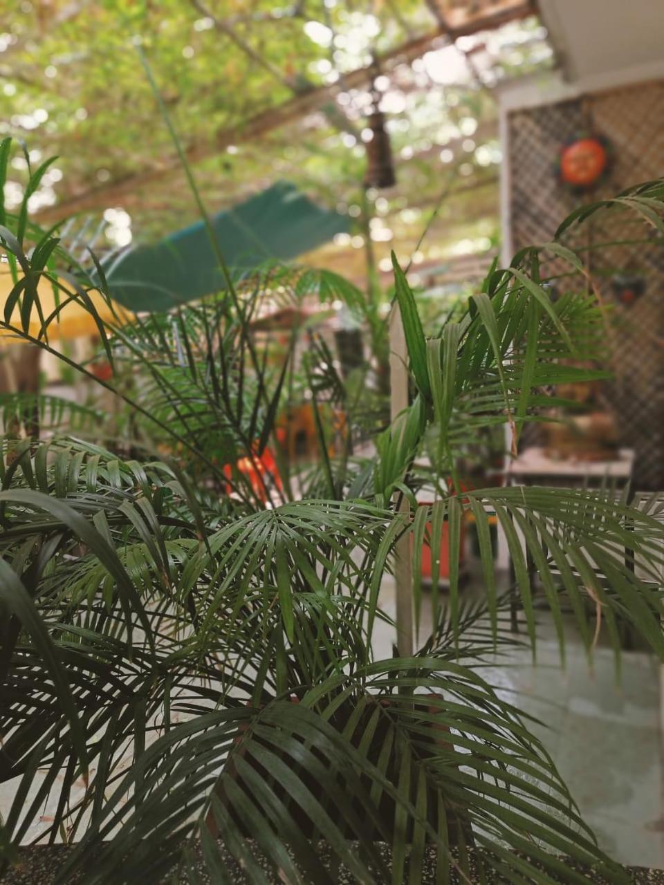 Srinekatan Heritage Villa Homestay Ахмедабад Екстериор снимка
